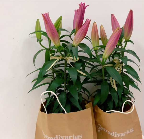 聽說這個七夕，鮮花和牛皮紙袋更配哦！